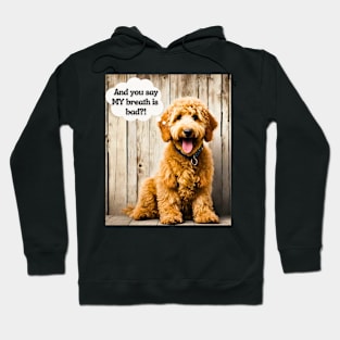 Funny Goldendoodle Insult Hoodie